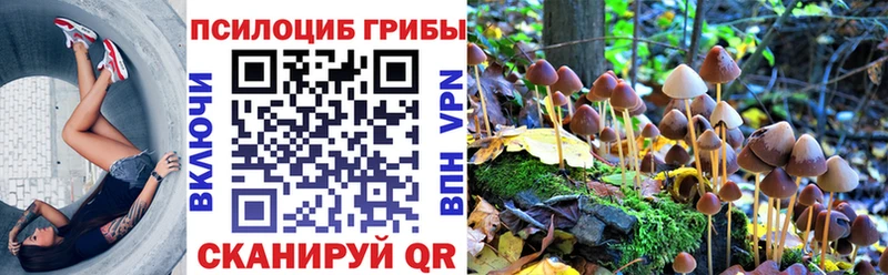 Псилоцибиновые грибы мицелий Балахна